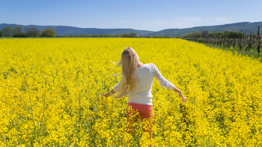 Product Delight : L’Art de la Satisfaction Client dans les Produits Digitaux